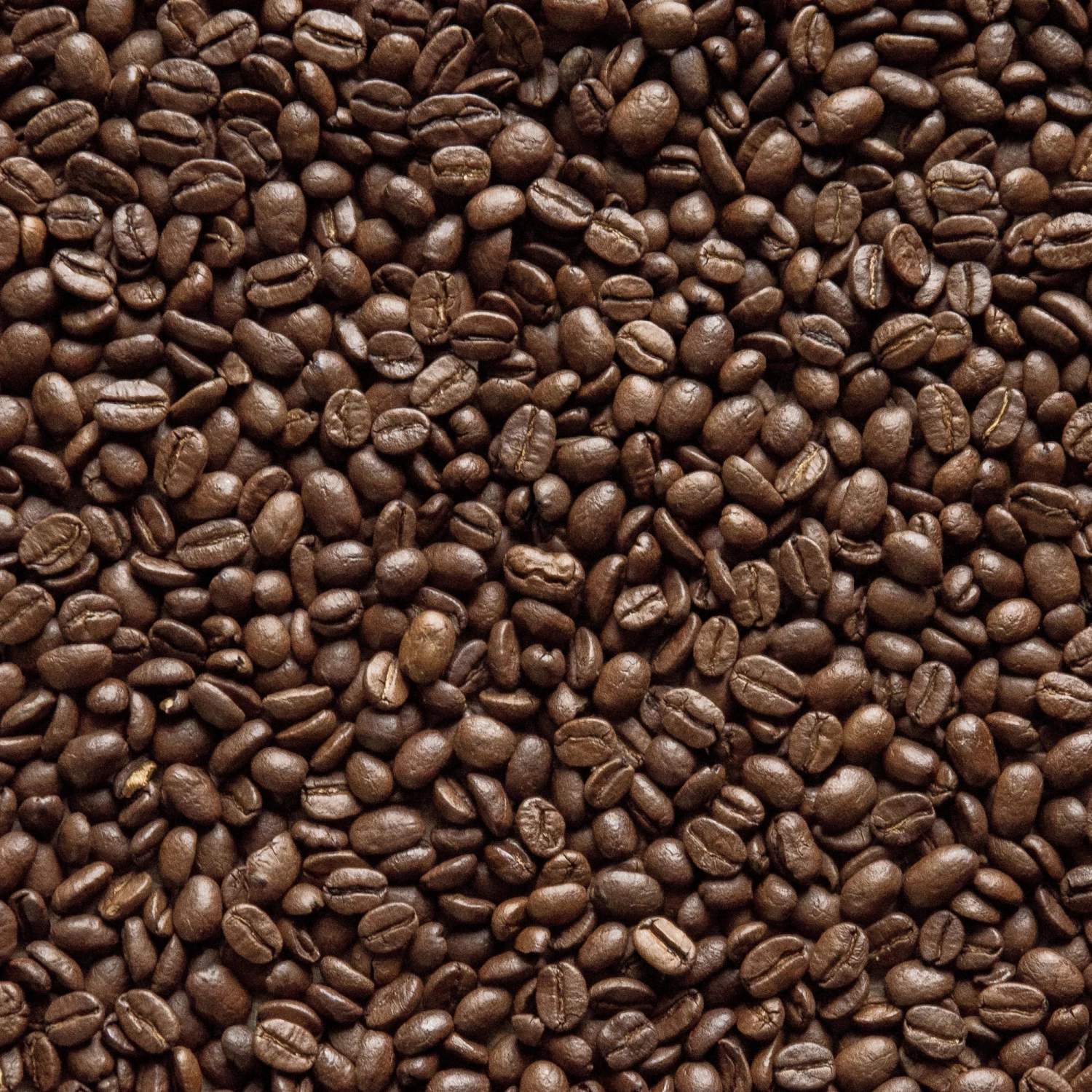 Greenbeancoffee House Blend 5 ROASTED COFFEE 3 Greenbeancoffee House Blend 5 ROASTED COFFEE