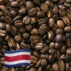 Greenbeancoffee Costa Rica RFA