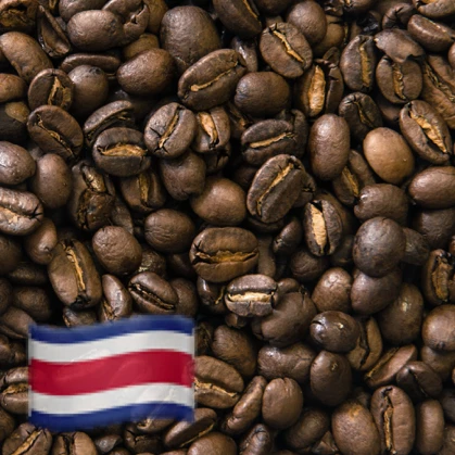Greenbeancoffee Coffee Of The Month Costa Rica La Lapa 3 Greenbeancoffee Coffee Of The Month Costa Rica La Lapa