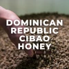Green Bean Coffee Dominican Republic Cibao Honey Processed 1 Green Bean Coffee Dominican Republic Cibao Honey Processed