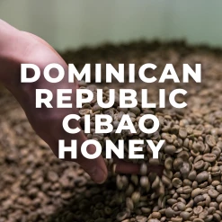 Green Bean Coffee Dominican Republic Cibao Honey Processed