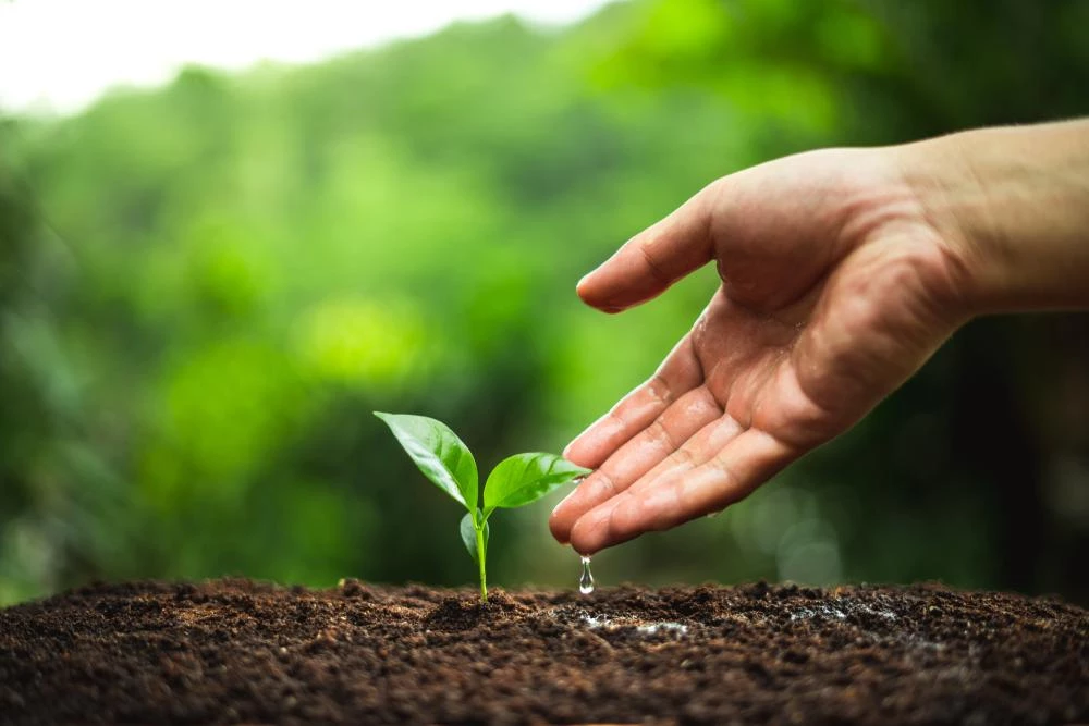 Greenbeancoffee ROASTED COFFEE Fairtrade Organic Blend 3 Greenbeancoffee ROASTED COFFEE Fairtrade Organic Blend