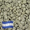 Greenbeancoffee Honduras Organic All Green Beans