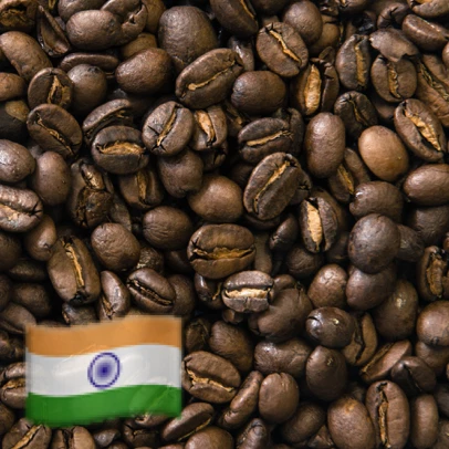 Greenbeancoffee Indian Pearl Mountain ROASTED COFFEE 3 Greenbeancoffee Indian Pearl Mountain ROASTED COFFEE