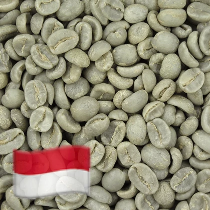 Greenbeancoffee Fairtrade Indonesian Mandheling Organic 3 Greenbeancoffee Fairtrade Indonesian Mandheling Organic