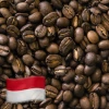 Greenbeancoffee ROASTED COFFEE Indonesian Robusta