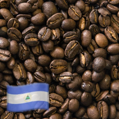 Greenbeancoffee Nicaraguan Maragogype ROASTED COFFEE 3 Greenbeancoffee Nicaraguan Maragogype ROASTED COFFEE