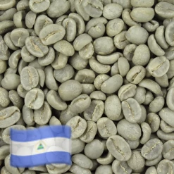 Greenbeancoffee Nicaraguan Maragogype All Green Beans