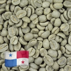 Greenbeancoffee Panama RFA All Green Beans