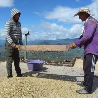 Greenbeancoffee Colombian Finca San Francisco Decaf 5 Greenbeancoffee Colombian Finca San Francisco Decaf