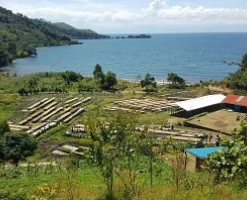 Greenbeancoffee Congo Kivu Lutumba Micro Lot African