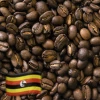 Greenbeancoffee ROASTED COFFEE Ugandan Robusta