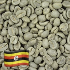 Greenbeancoffee Ugandan Robusta All Green Beans
