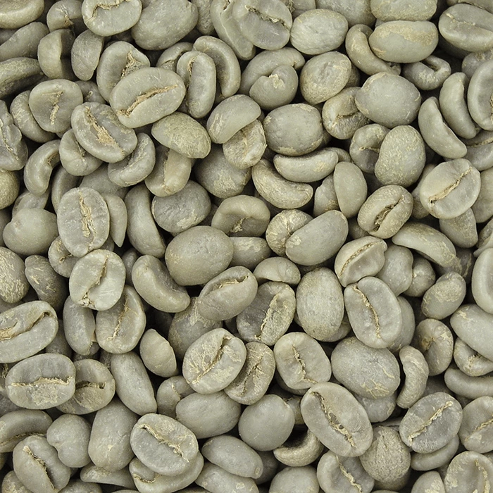 Greenbeancoffee All Green Beans Rainforest Alliance Blend 3 Greenbeancoffee All Green Beans Rainforest Alliance Blend