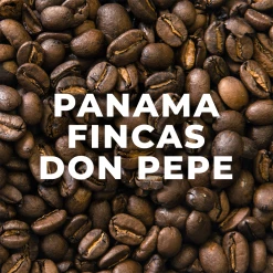 Green Bean Coffee Panama Fincas Don Pepe