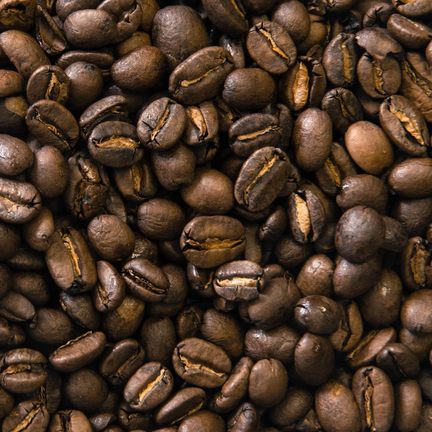 Greenbeancoffee ROASTED COFFEE Rainforest Alliance Blend 3 Greenbeancoffee ROASTED COFFEE Rainforest Alliance Blend