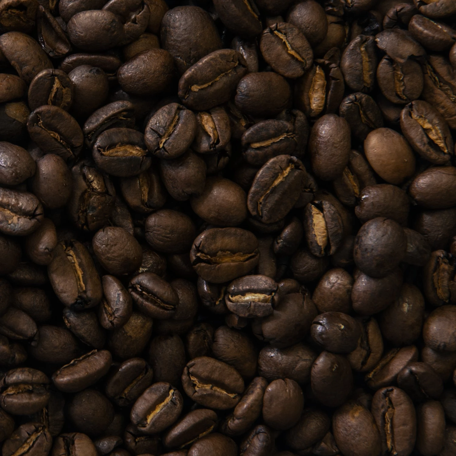 Greenbeancoffee Central & South America Costa Rica Hacienda Pilas 3 Greenbeancoffee Central & South America Costa Rica Hacienda Pilas