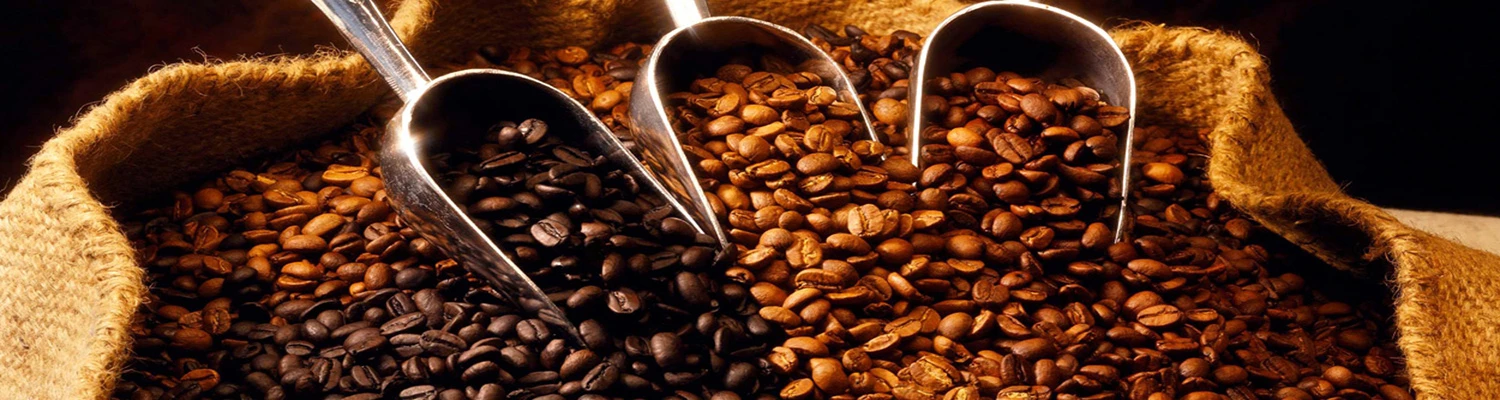 Green Bean Coffee Sales -Green Bean Coffee Sales hero